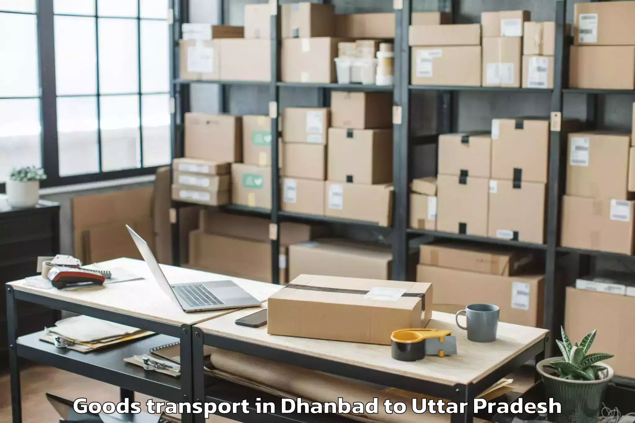 Top Dhanbad to Rampur Goods Transport Available